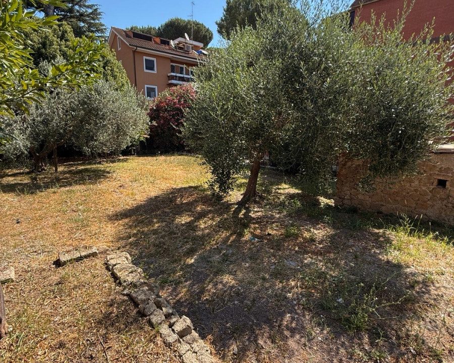 giardino 3