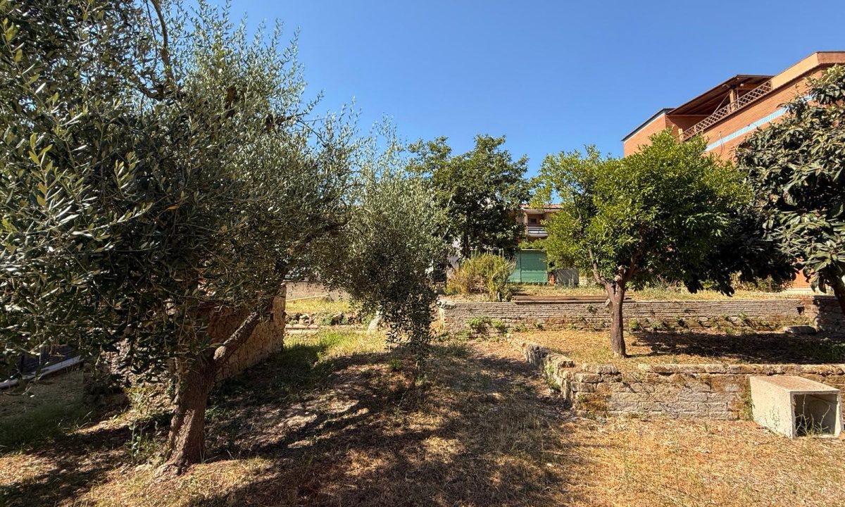 giardino 5