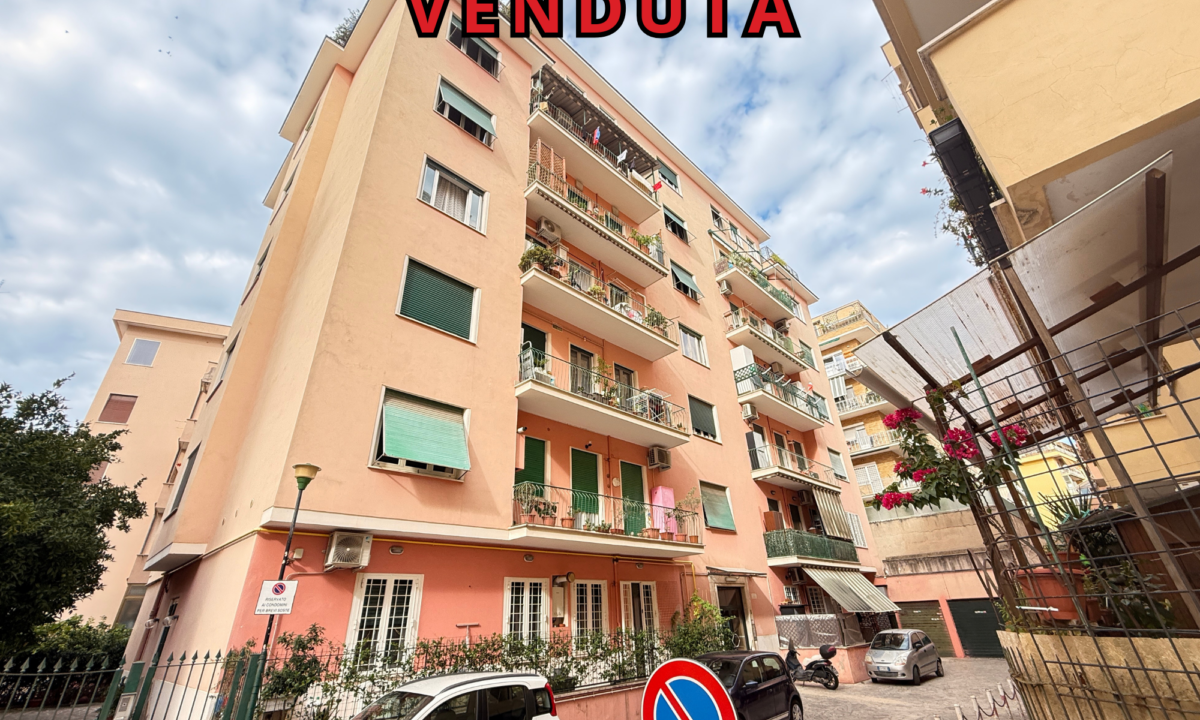 VENDUTA e jenner 134