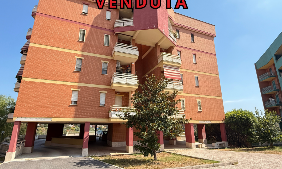 venduta m stallonara