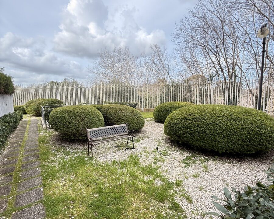 Splendido appartamento in Vendita - Via Roberto Ago con Giardino