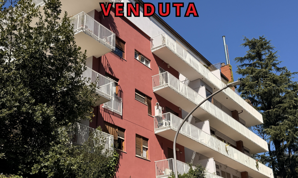 venduta mario fascetti