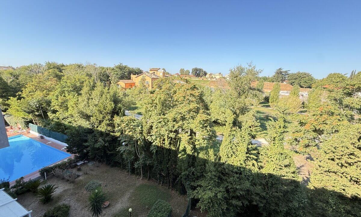 vista 1
