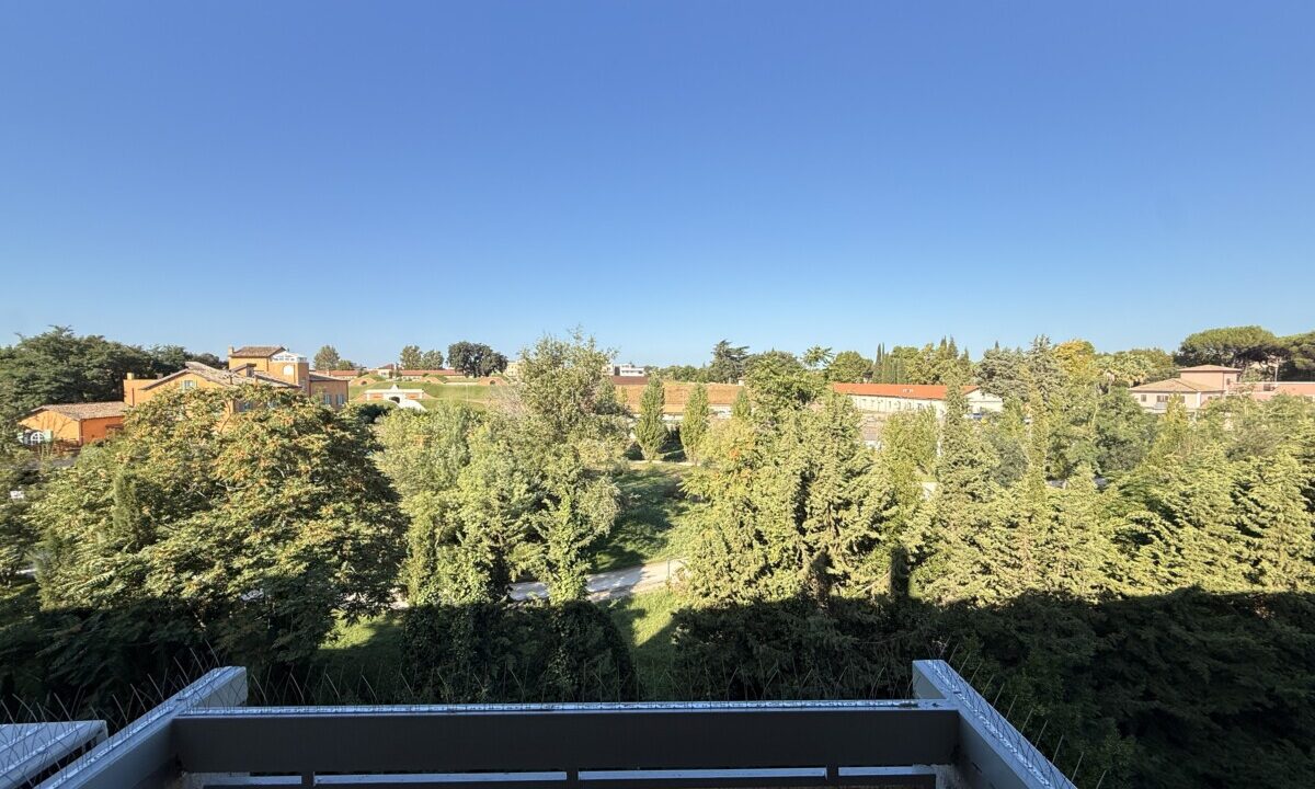 vista 2
